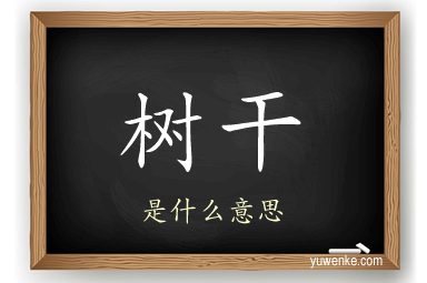 树干