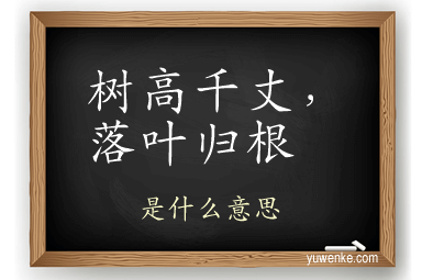 树高千丈,落叶归根
