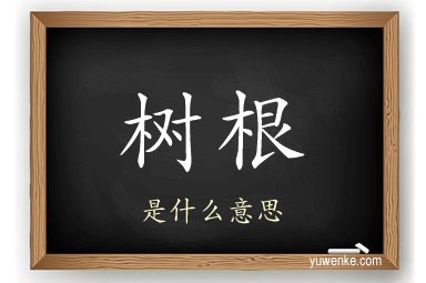 树根