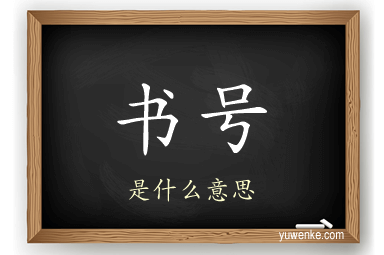 书号