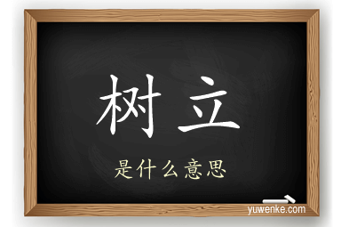 树立
