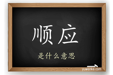 顺应