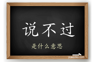 说不过