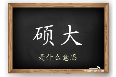 硕大