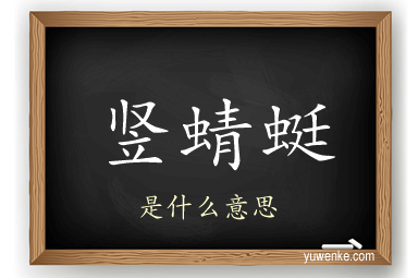 竖蜻蜓