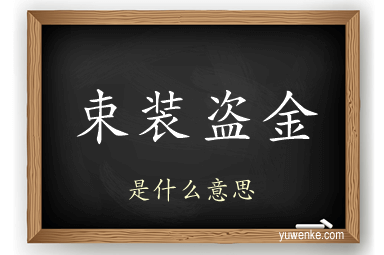 束装盗金