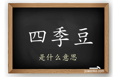 四季豆