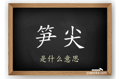 笋尖