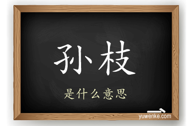 孙枝
