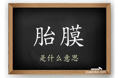 胎膜