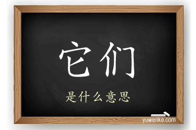 它们