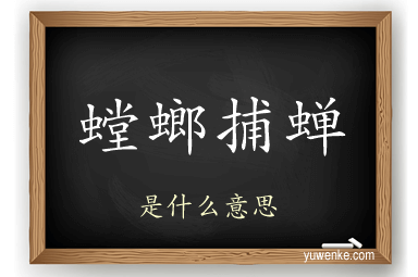 螳螂捕蝉