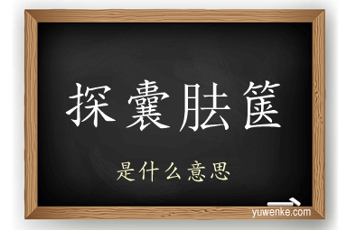探囊胠箧
