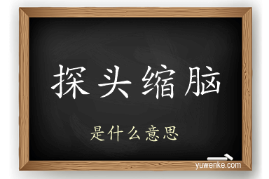 探头缩脑