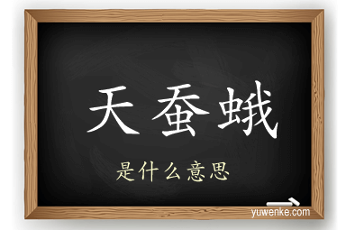 天蚕蛾