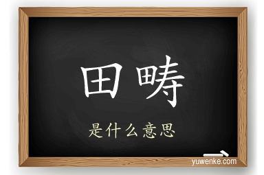 田畴