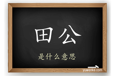 田公