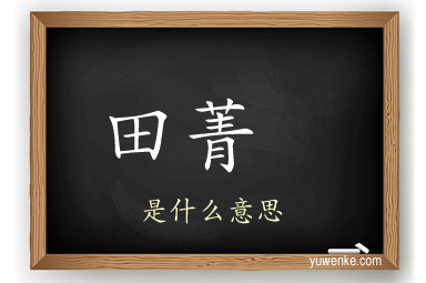 田菁