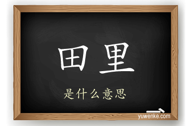 田里