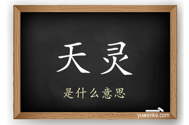 天灵