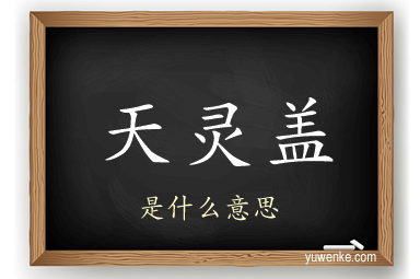 天灵盖