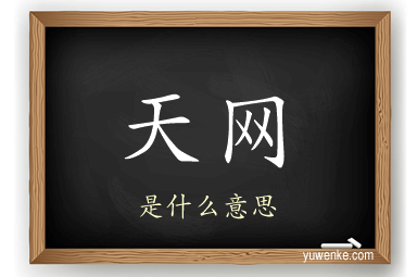 天网