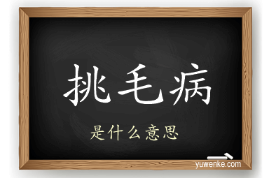 挑毛病