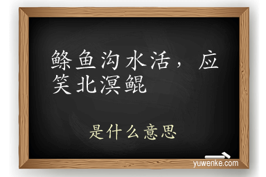 鲦鱼沟水活，应笑北溟鲲