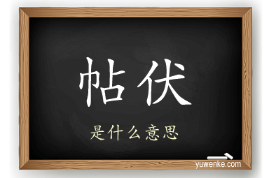 帖伏