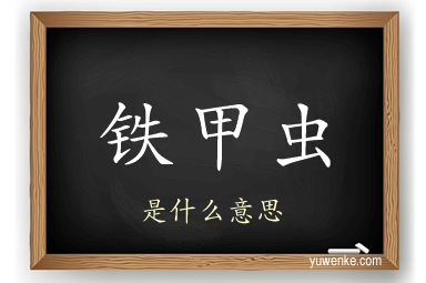 铁甲虫