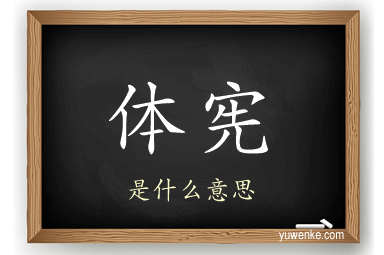 体宪
