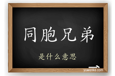 同胞兄弟