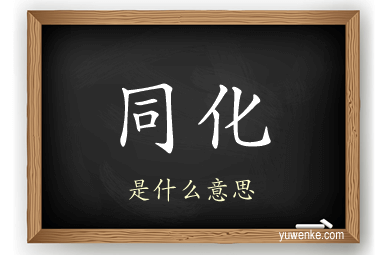 同化