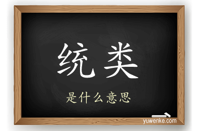统类