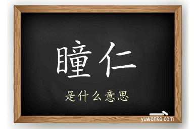 瞳仁