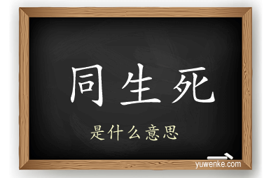 同生死