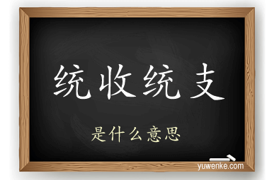 统收统支