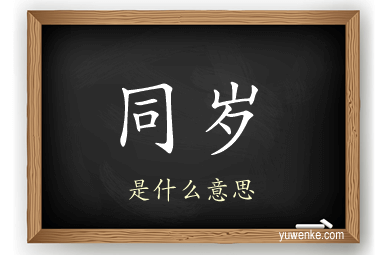 同岁
