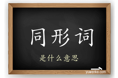 同形词
