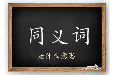 同义词