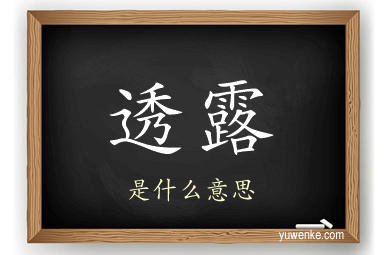 透露
