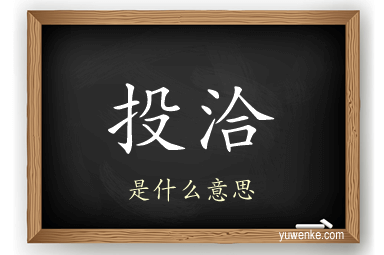 投洽