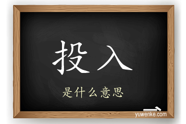 投入