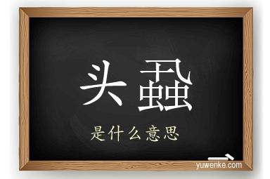 头蝨