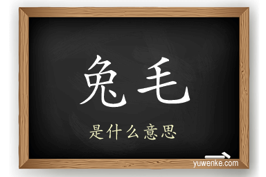 兔毛
