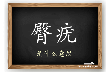 臀疣