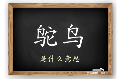 鸵鸟