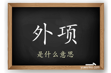 外项