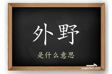 外野