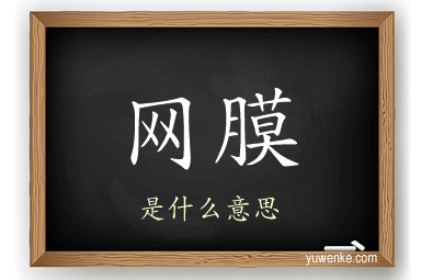 网膜